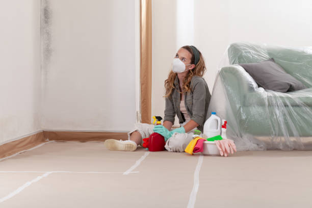 Trusted Attic Mold Removal service in Saddle Brook, NJ - Cheap Mold Removal